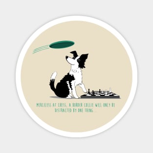 Border Collie playing chess Magnet